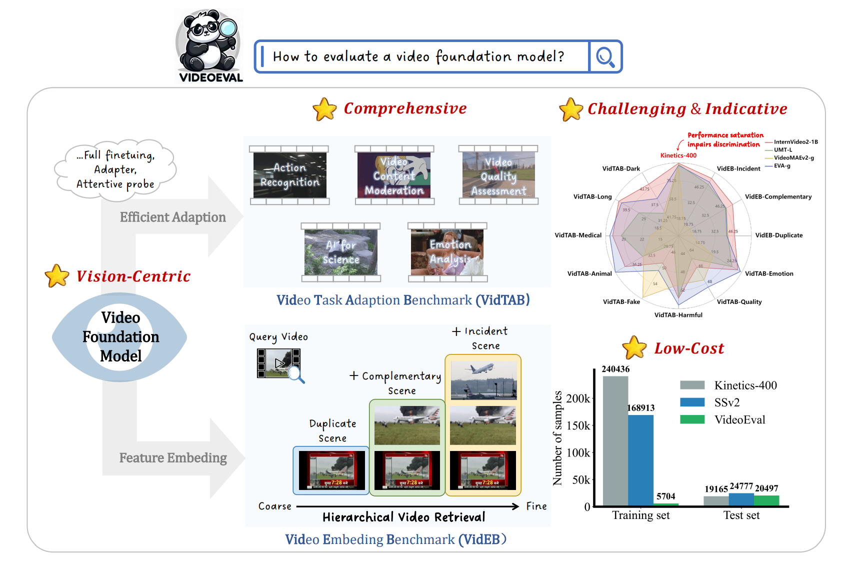 VideoEval